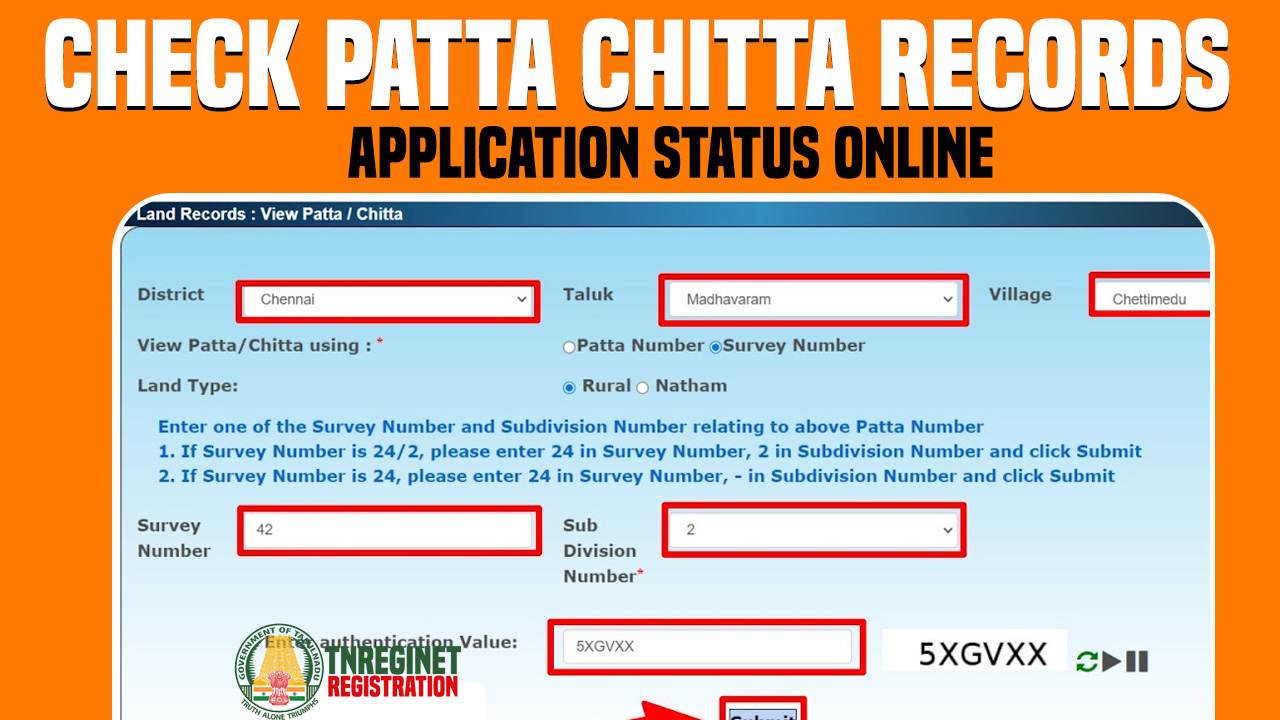 Check Patta Chitta Records